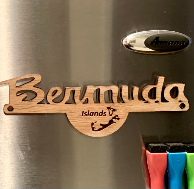 Star Goose Amiga Commodore Fridge Magnet Aimant Frigo